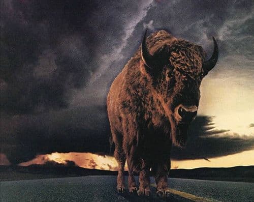 NCC PRESENTS "ORIGINALS ONLY " with Bourbon Sprawl, Hal and Pals, Grim River