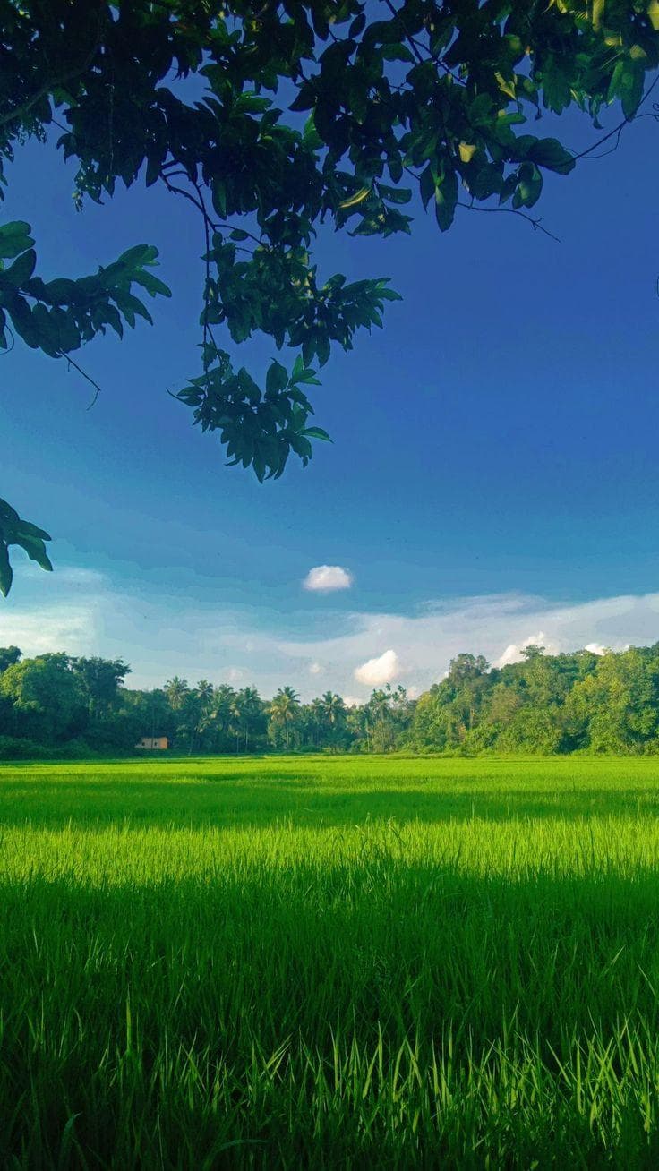 Altos Del Mar Park photo 4