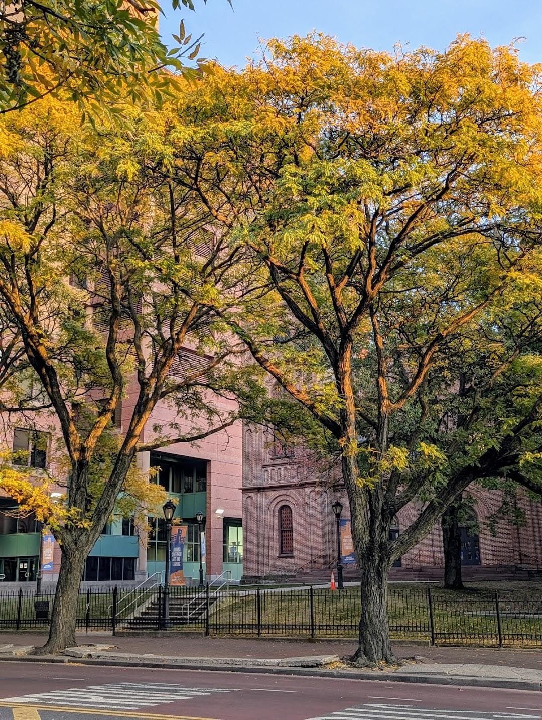 Jamaica Performing Arts Center (JPAC) photo 3