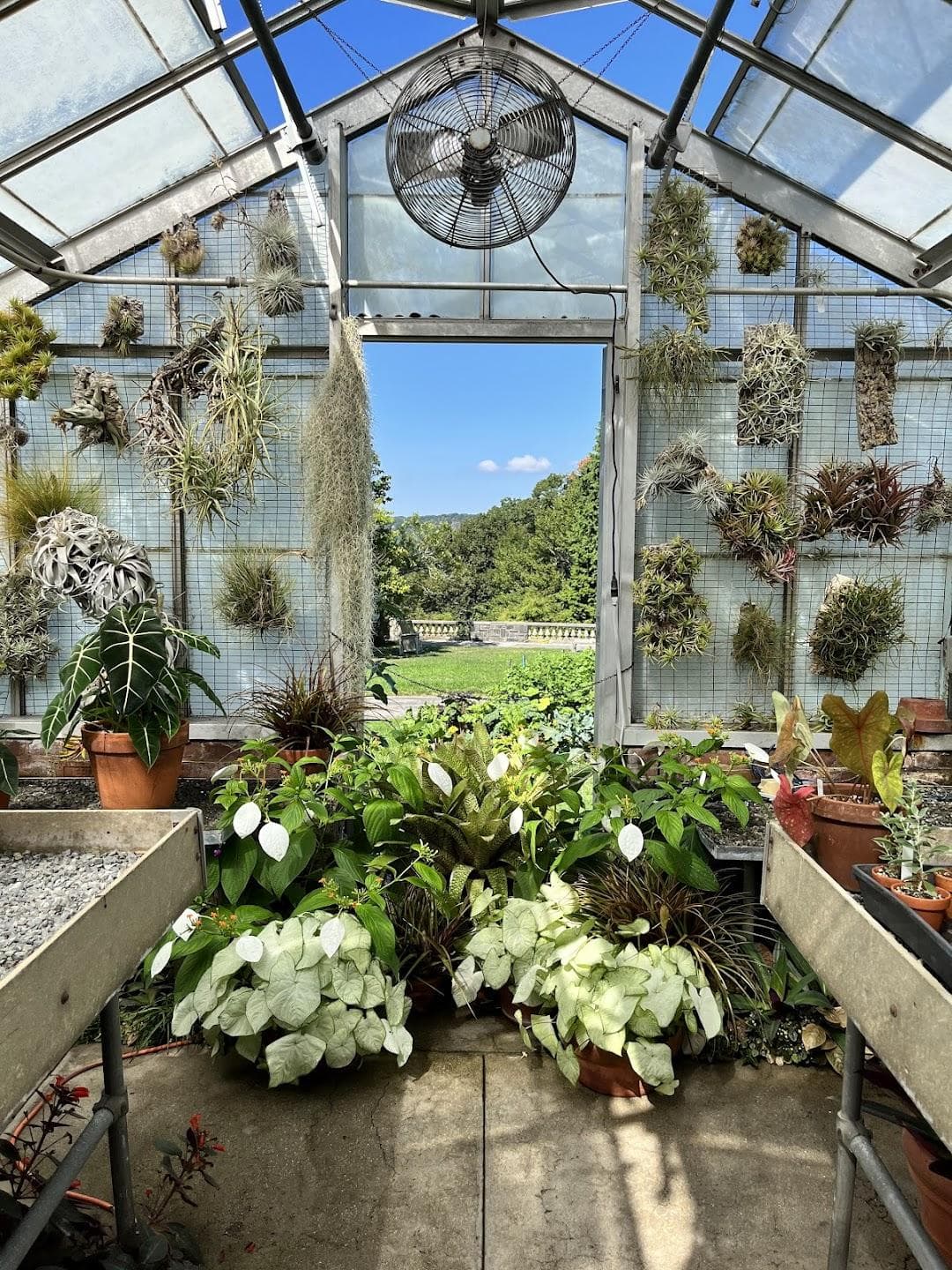 Wave Hill Public Garden & Cultural Center photo 1