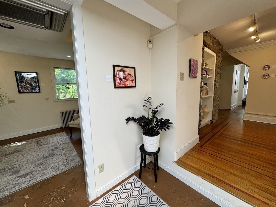 NoName Gallery photo 4