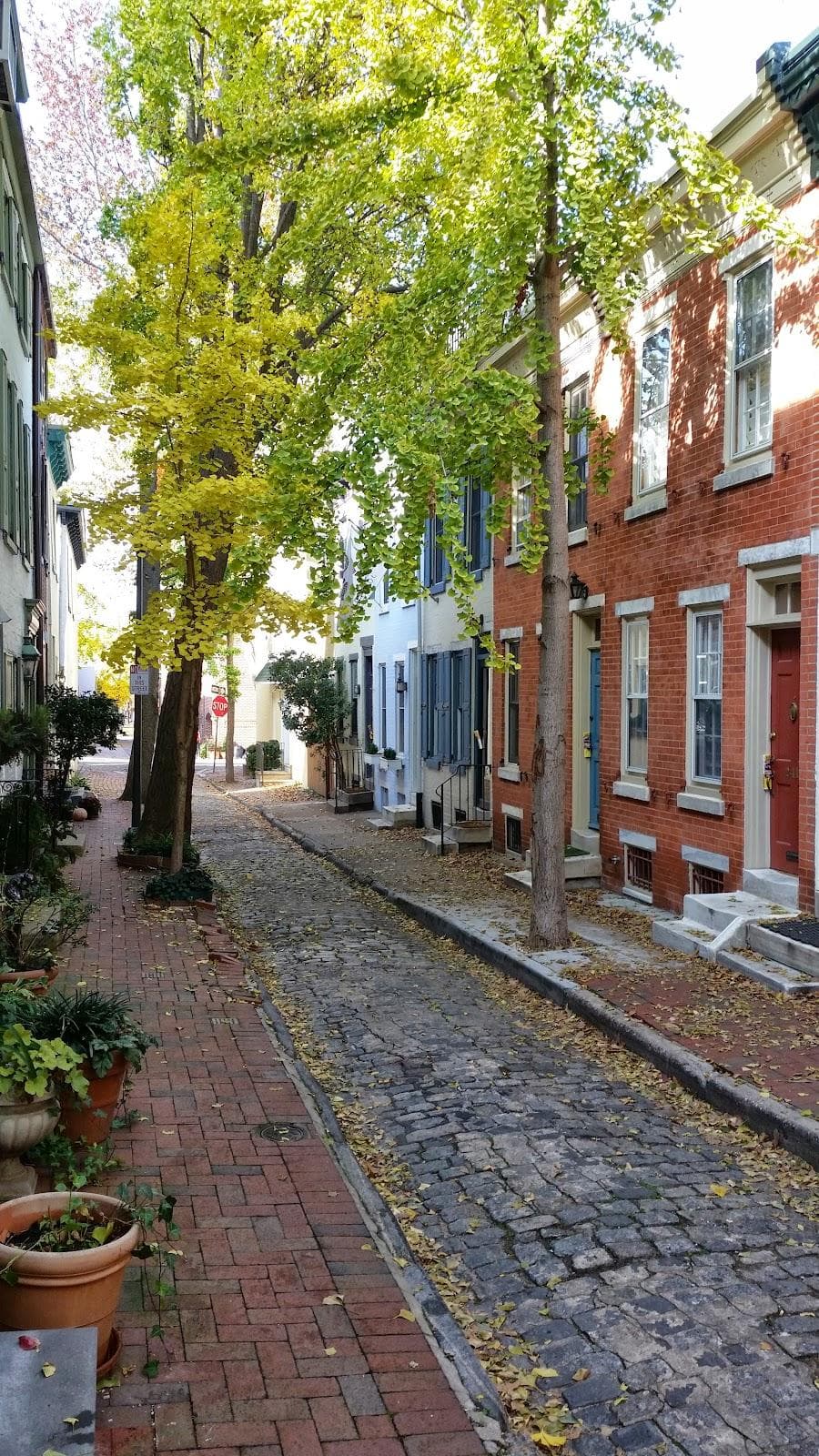 Fitler Square photo 4