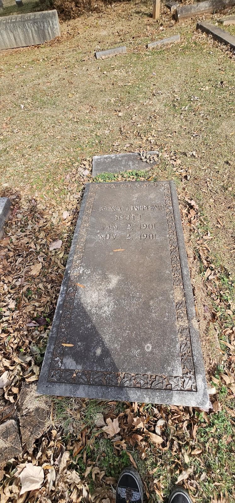 Historic Elmwood Pinewood Cemetery photo 5