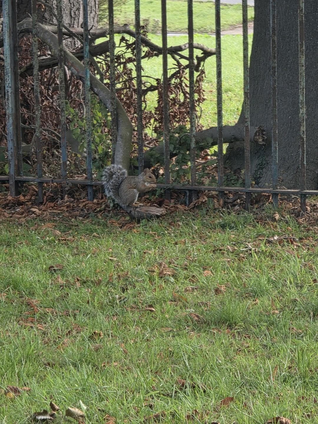 Addington Park photo 5