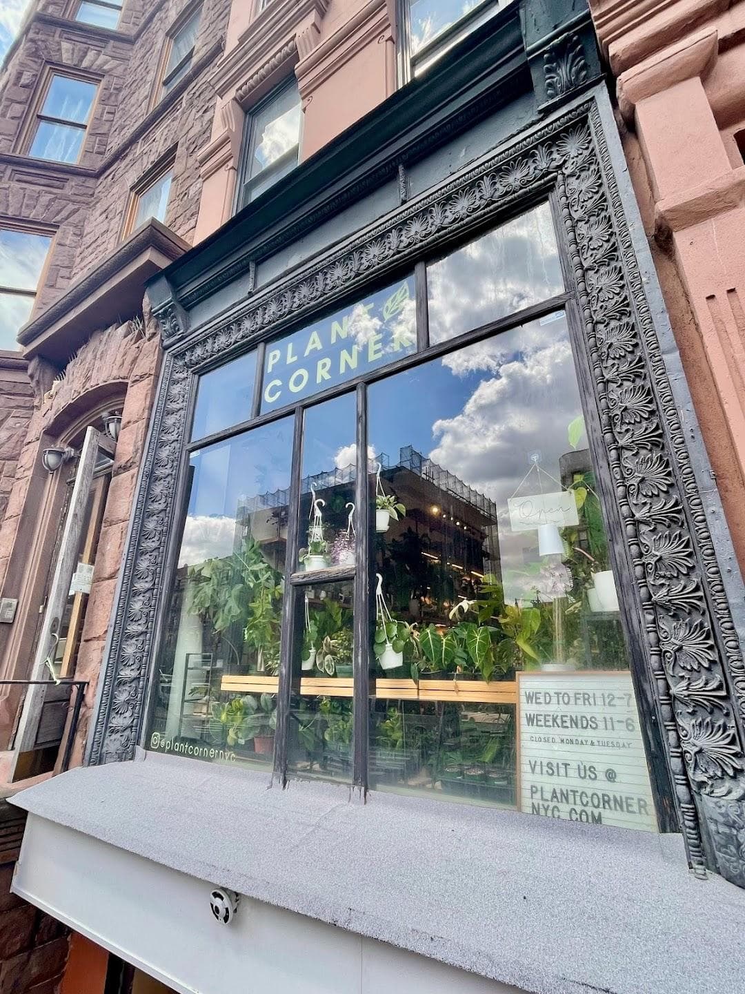 Plant Corner photo 3