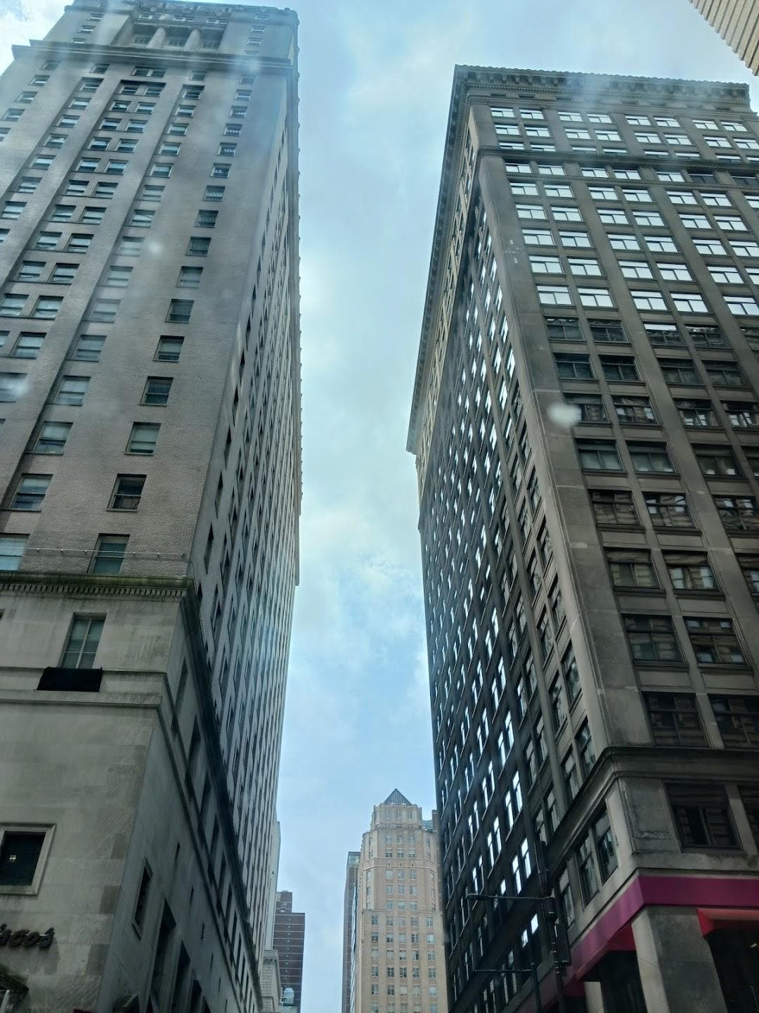 The Packard Grande photo 4