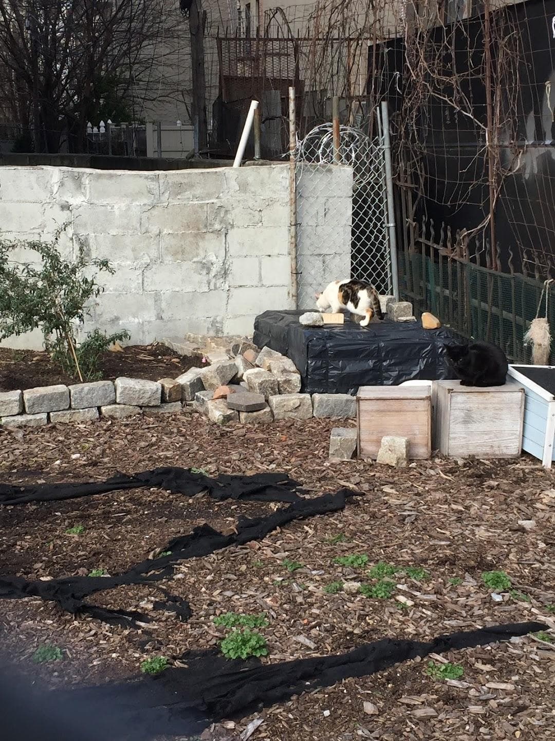 Hooper Grove photo 6