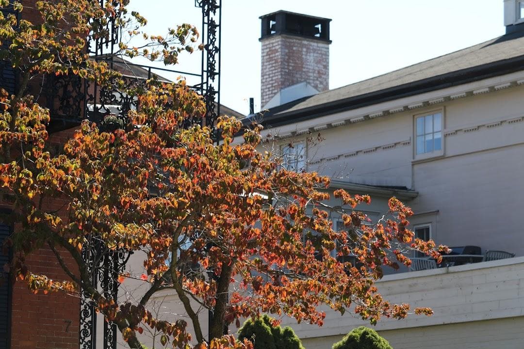 Wooster Square photo 2