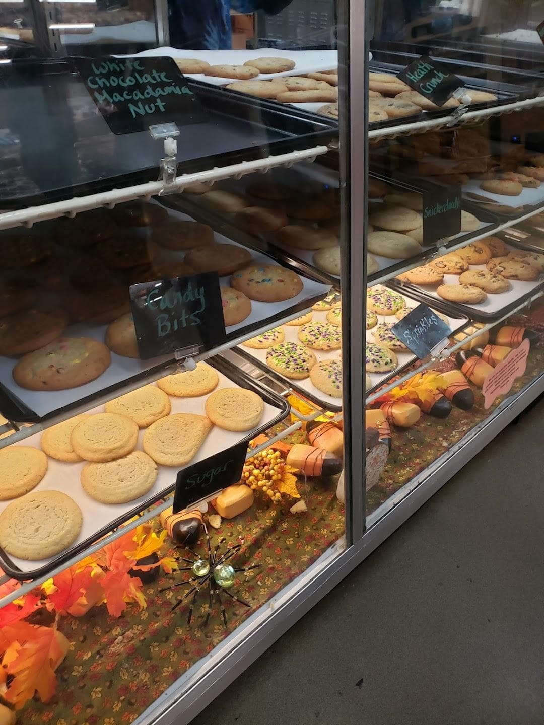 Linvilla Orchards photo 3