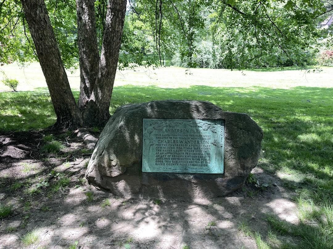 Anderson Park photo 5
