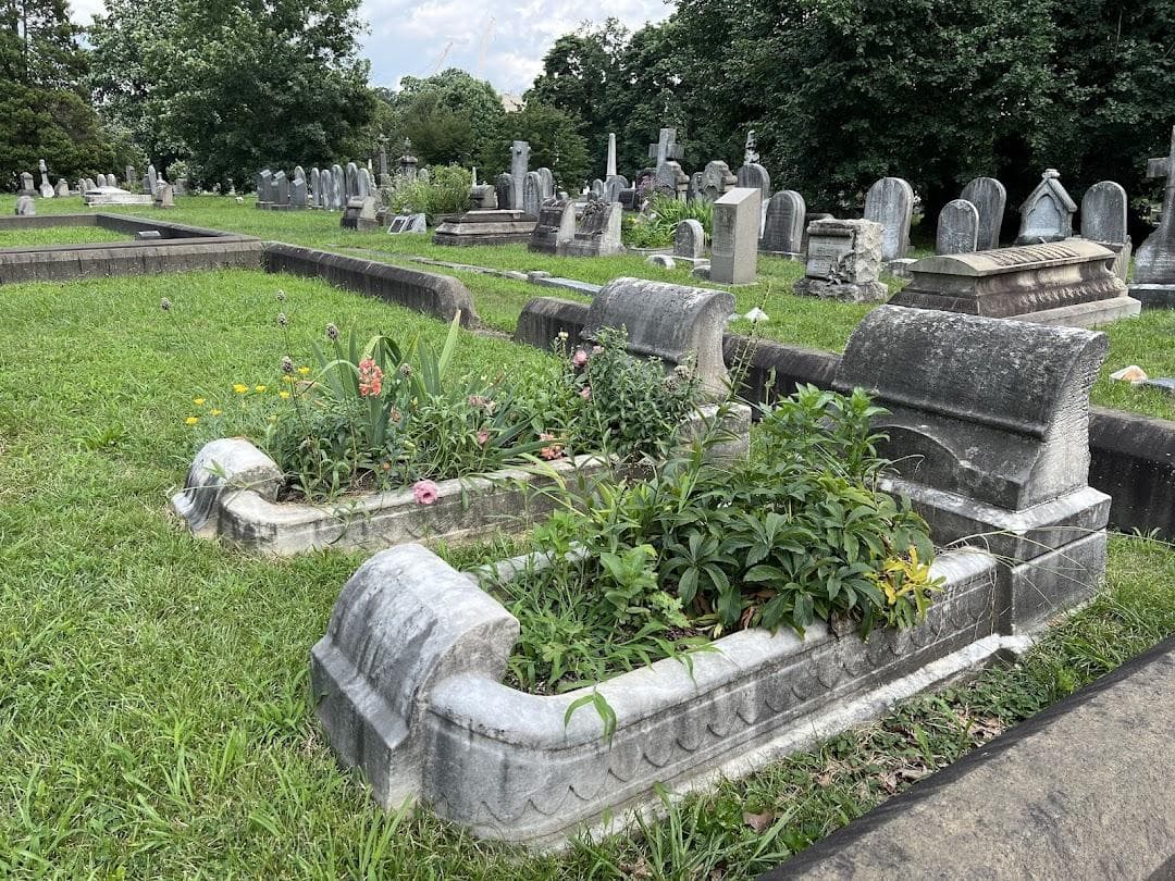 The Woodlands photo 4