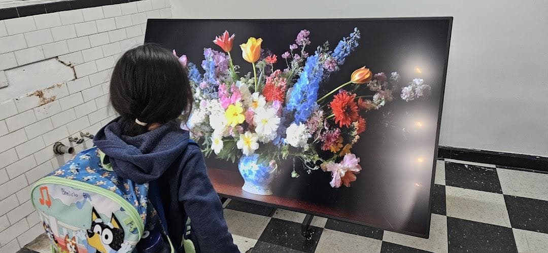 Various/Artists photo 6