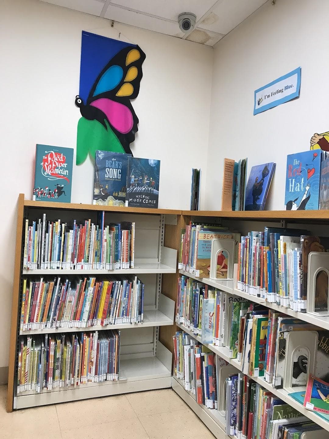 Brooklyn Public Library - Kings Highway Branch photo 6