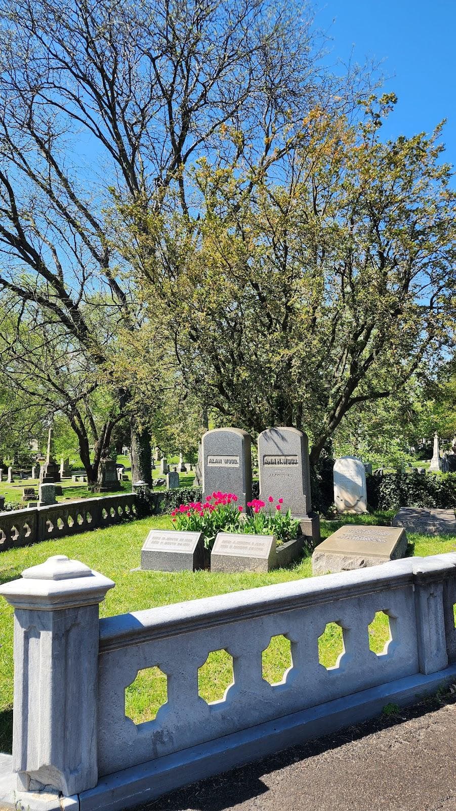 The Woodlands photo 2