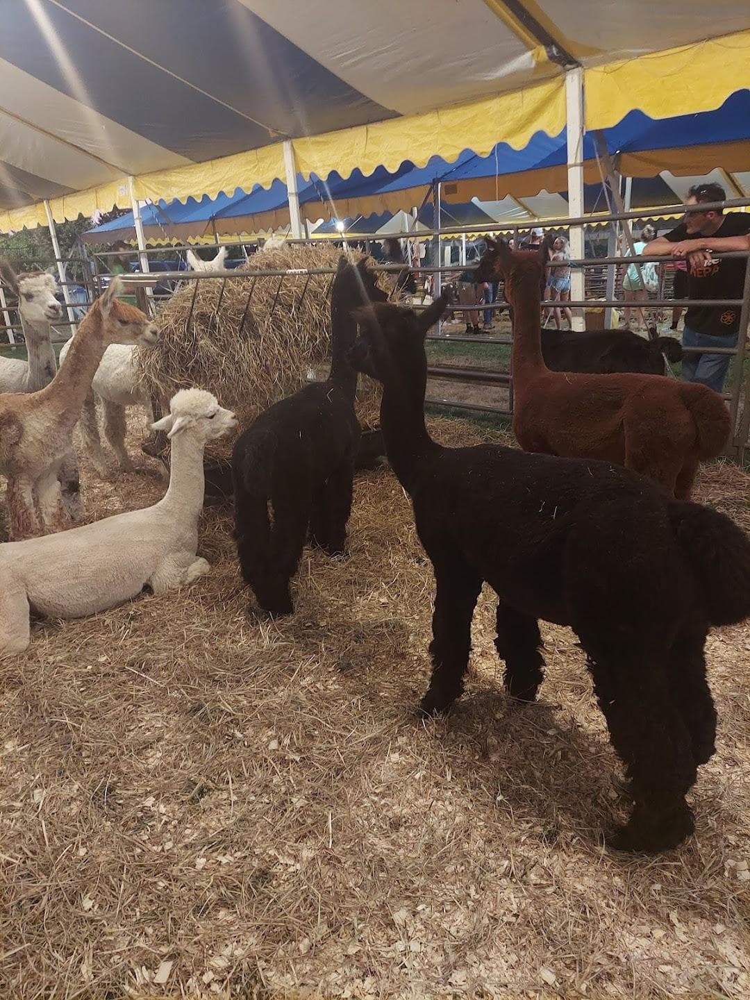 Burlington County Fairgrounds photo 6