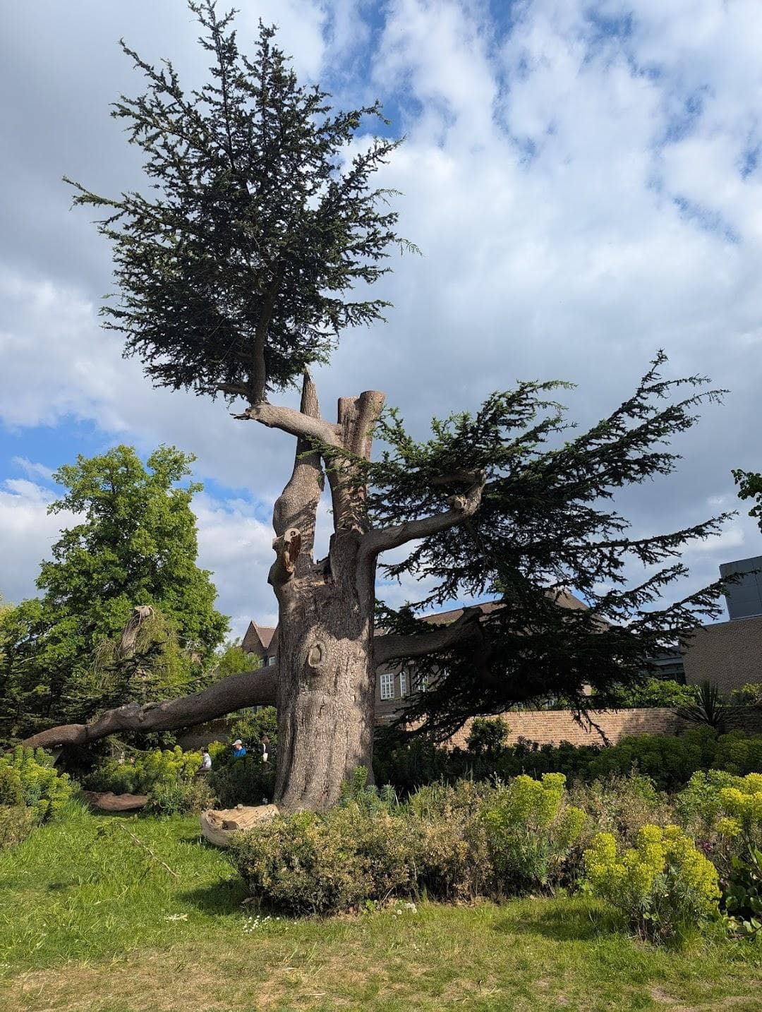 Walpole Park photo 6