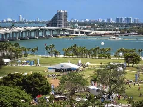 Downtown Miami photo 2