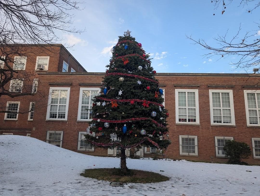 Queens Borough Hall photo 2