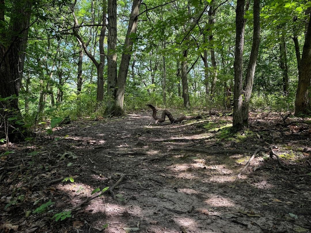 Long Pond Park photo 4