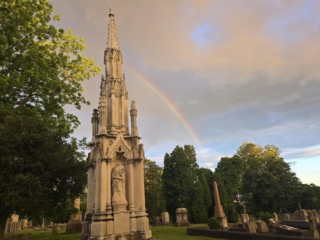 The Woodlands photo 6