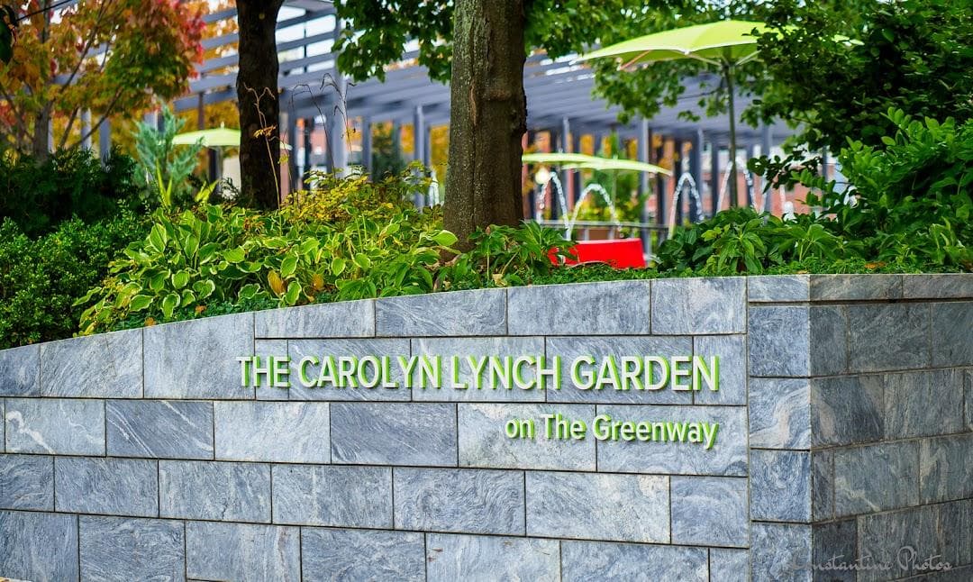 Carolyn Lynch Gardens photo 3