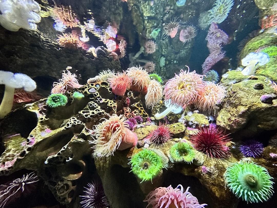 New England Aquarium photo 4