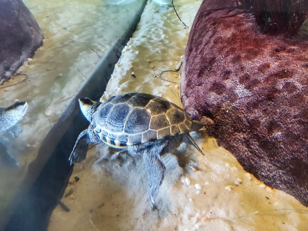 Liberty Science Center photo 2