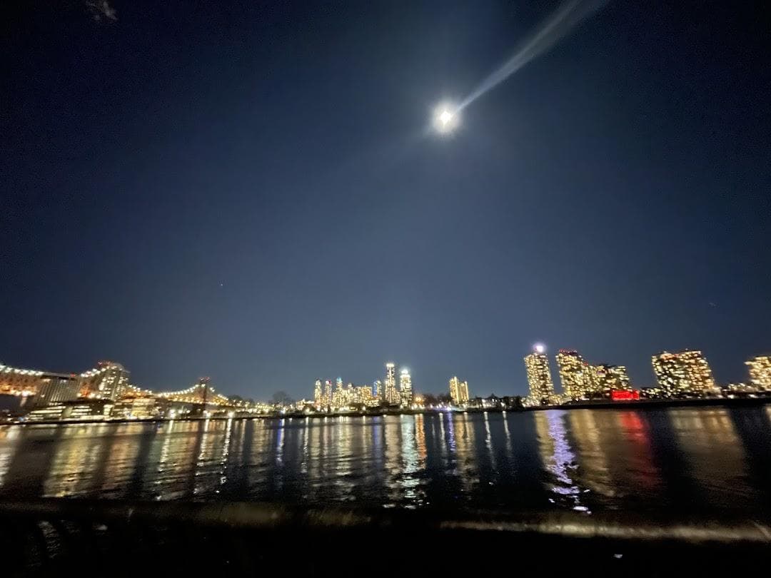 Peter Detmold Park photo 4