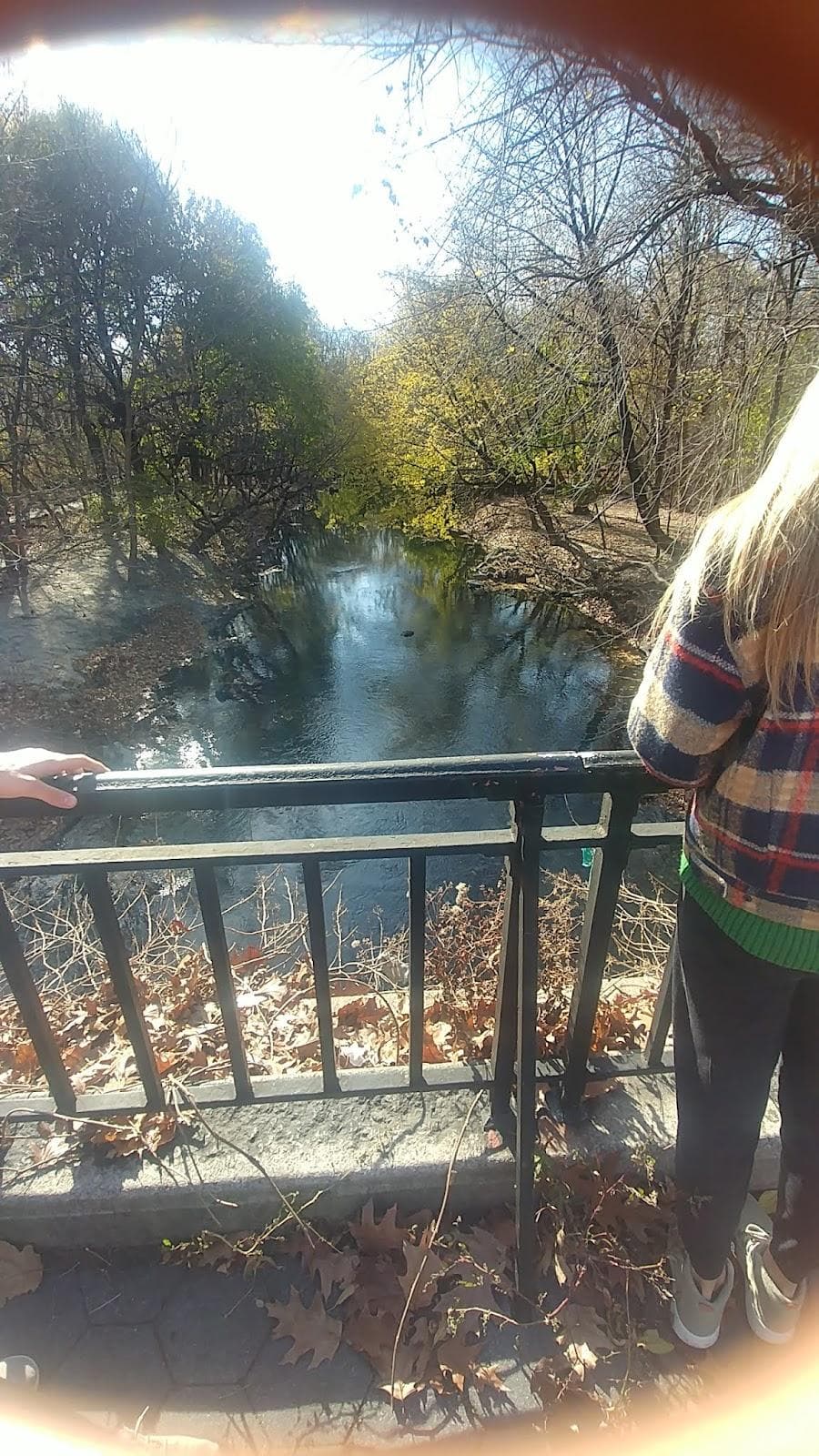 Burke Avenue Bridge photo 6