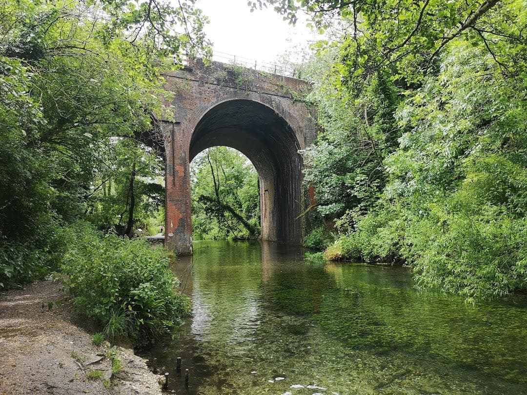 Basing House photo 2