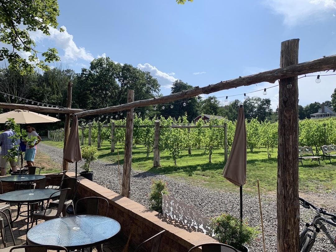 Rosabianca Vineyards photo 6
