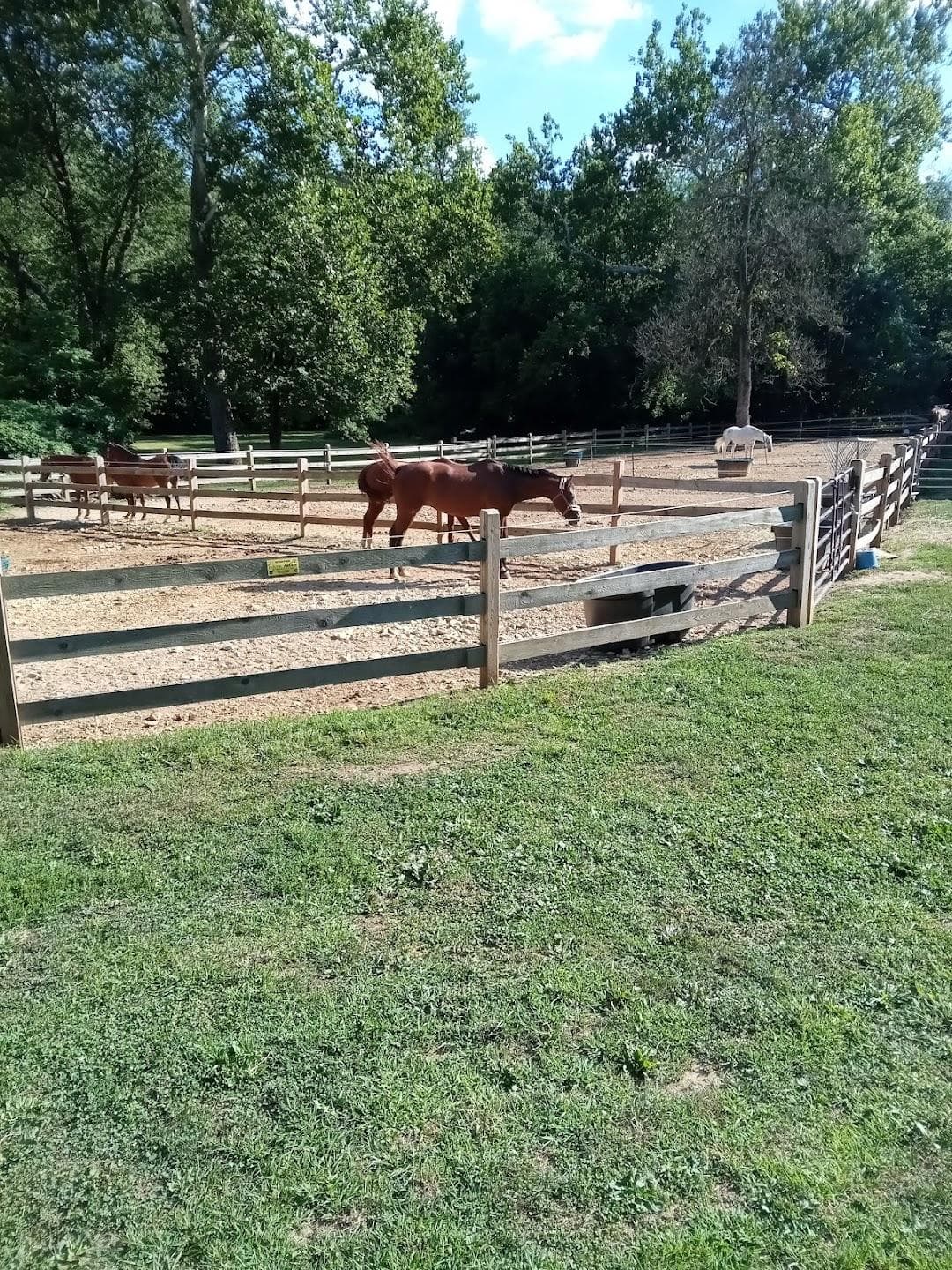 Chestnut Hill photo 5