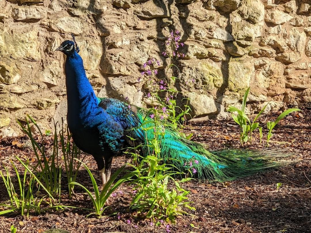 Mayfield Park and Nature Preserve photo 6