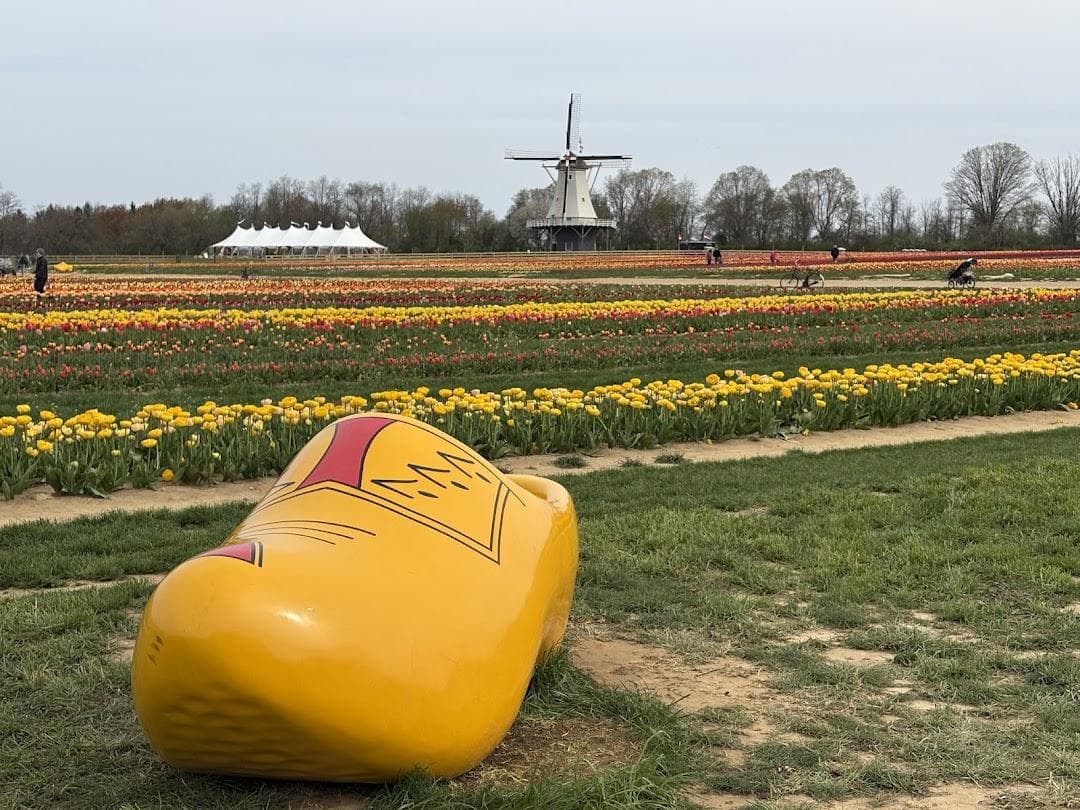 Holland Ridge Farms photo 1