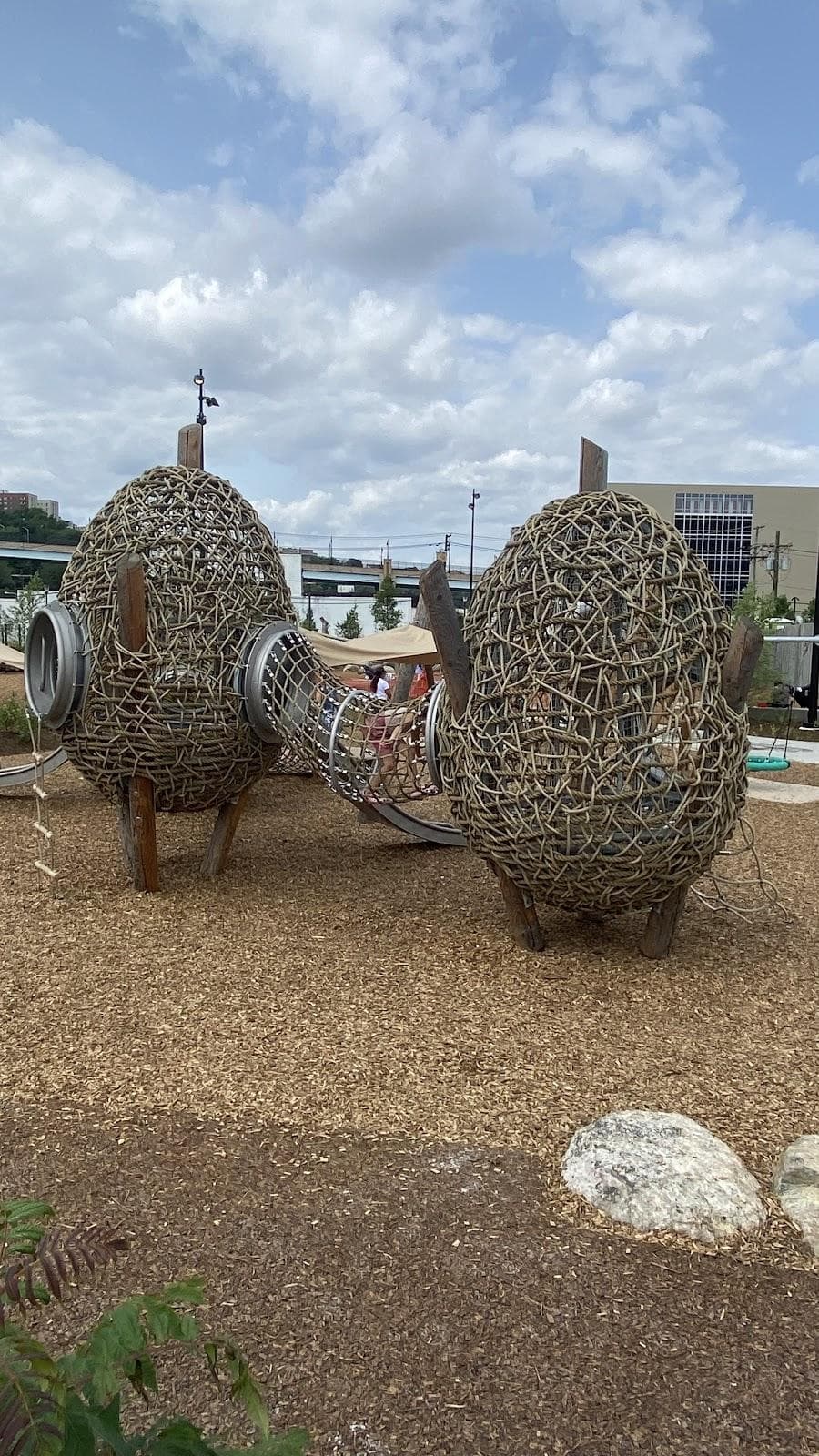 Northwest Resiliency Field photo 2