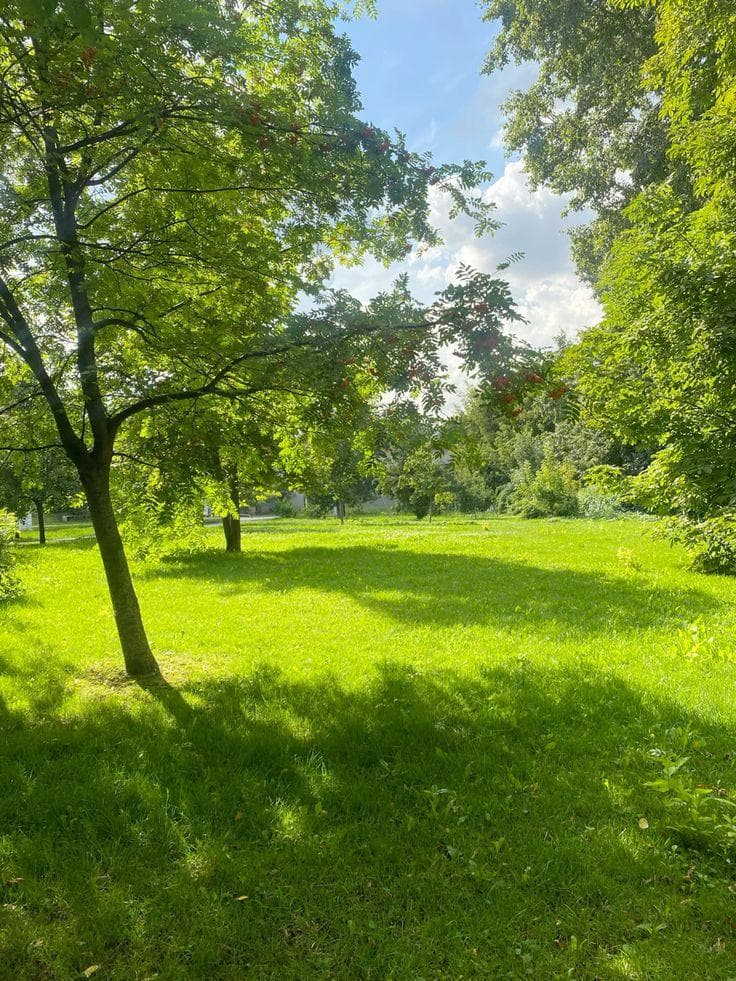 Altos Del Mar Park photo 5