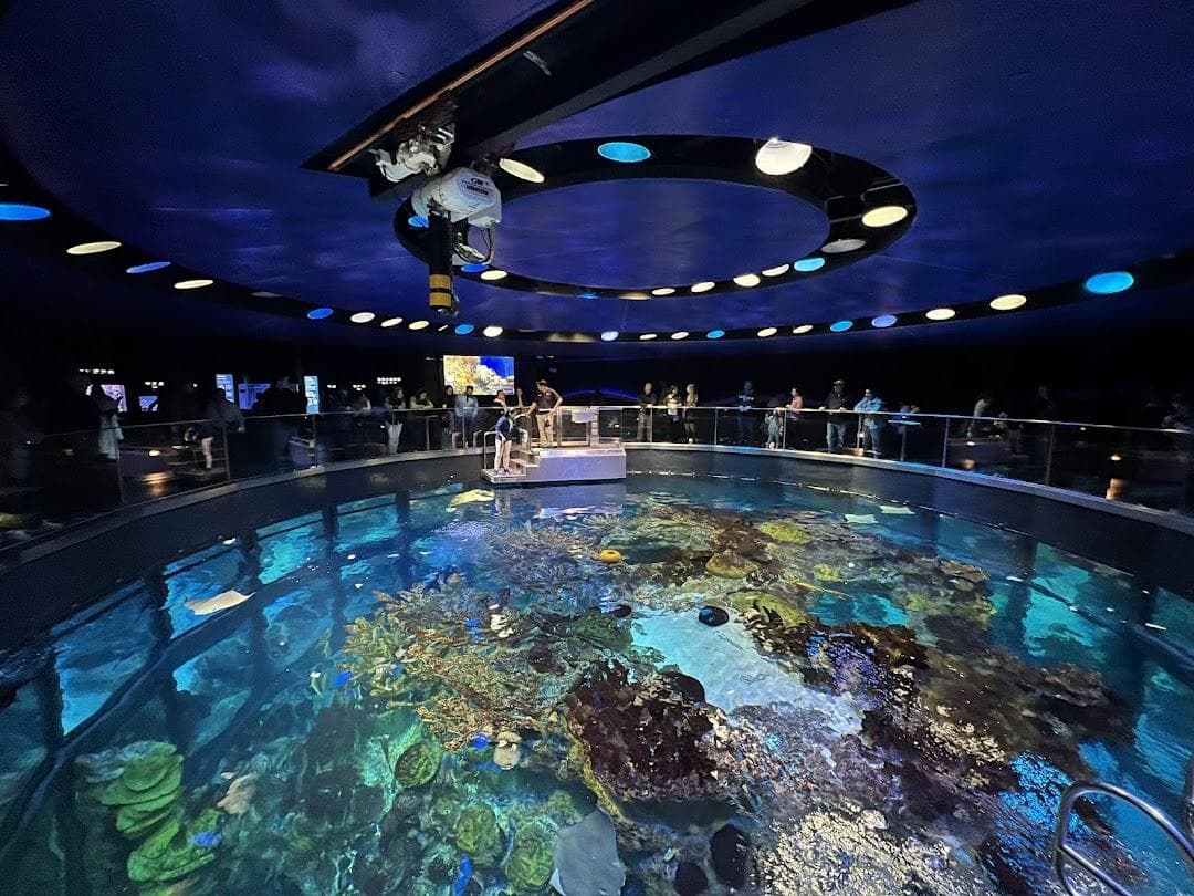 New England Aquarium photo 1