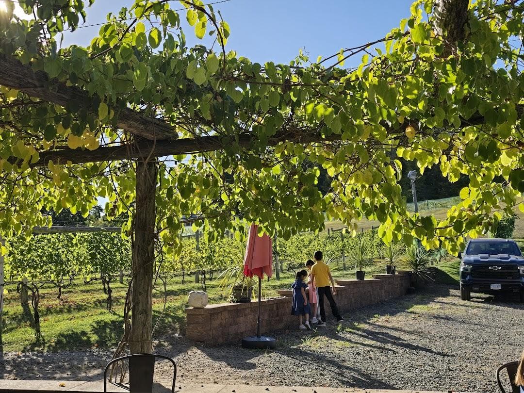 Rosabianca Vineyards photo 5