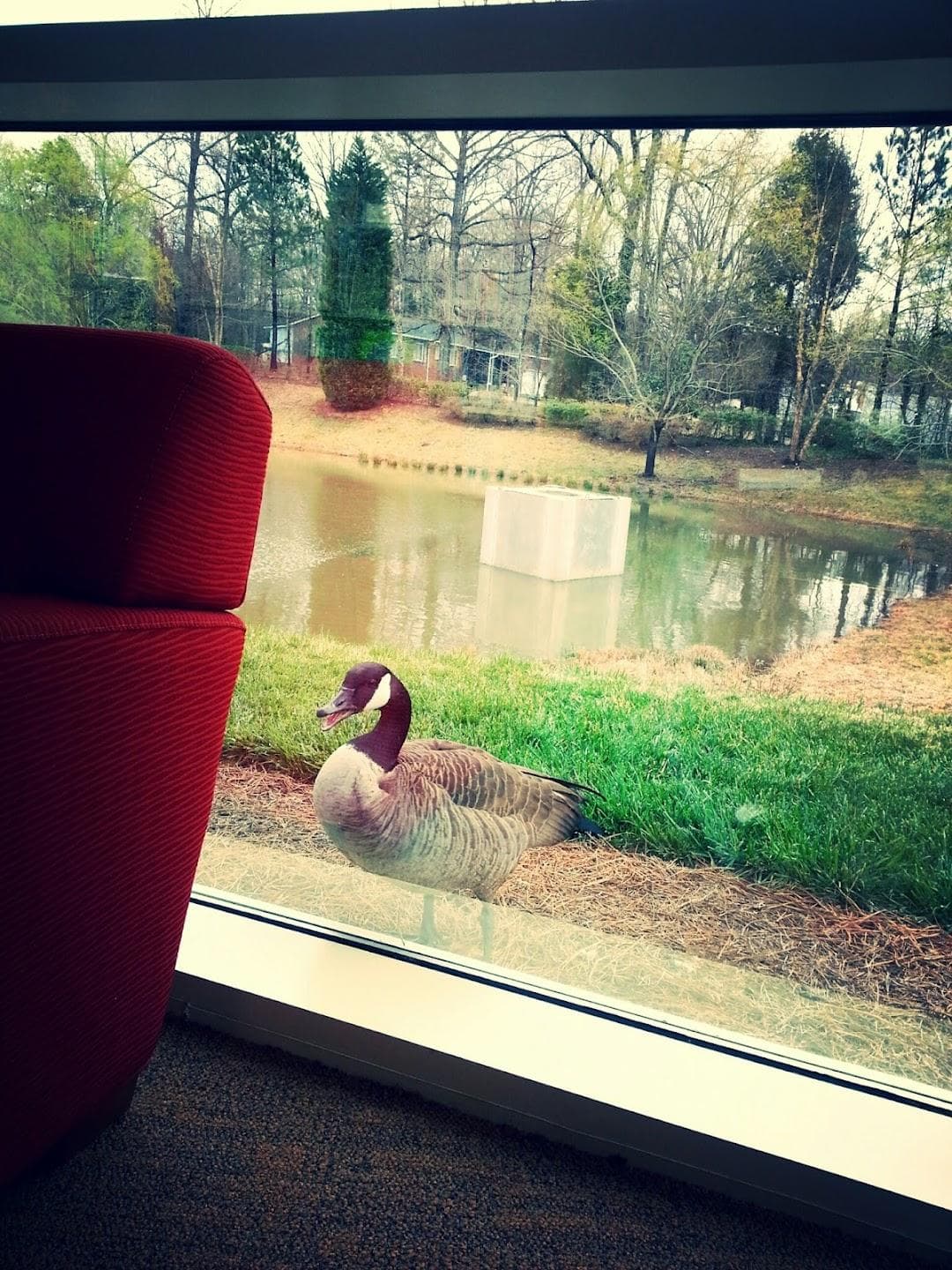 Charlotte Mecklenburg Library - Mountain Island photo 6