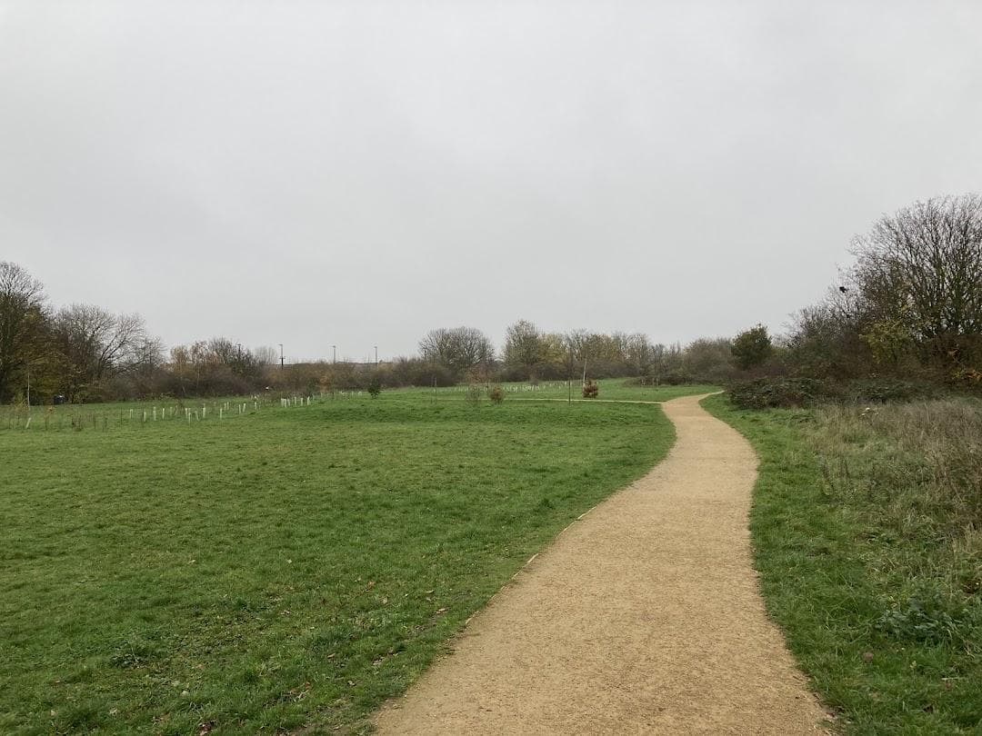 Leyton Jubilee Park photo 3