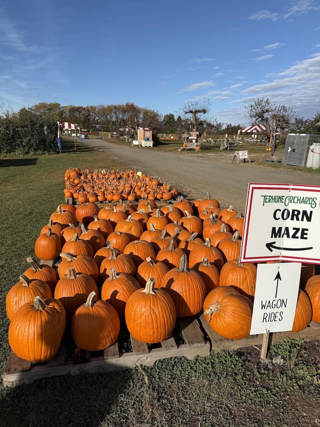 Terhune Orchards photo 4