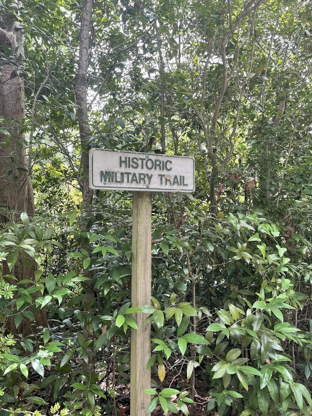 Arch Creek Park photo 5