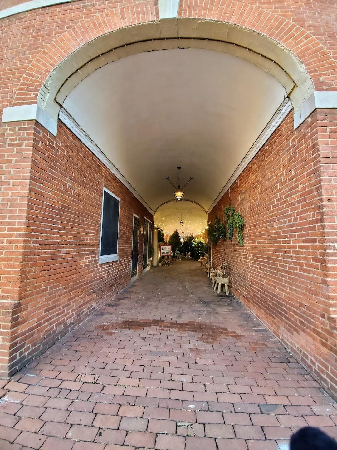 The Shambles photo 6