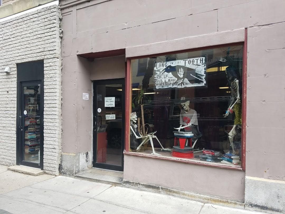 Long In the Tooth photo 4