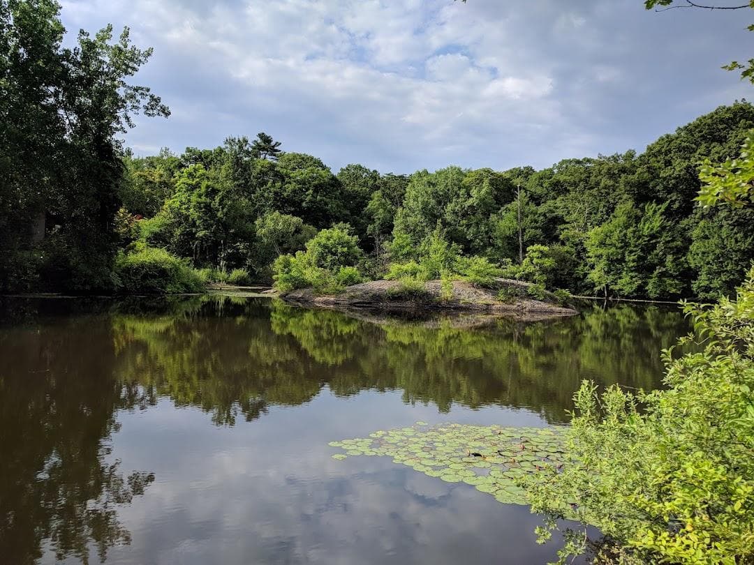 Allandale Woods photo 2