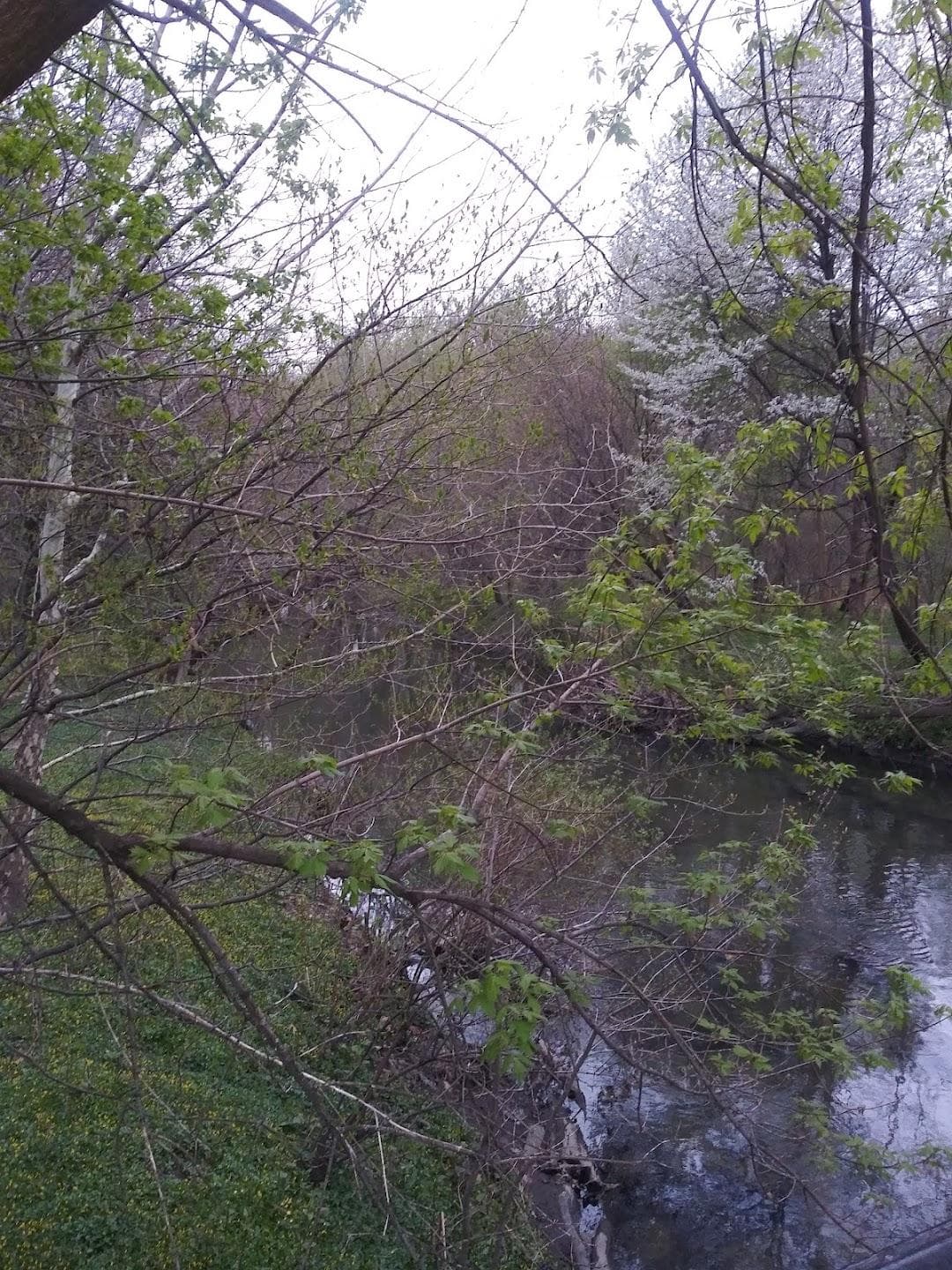 Burke Avenue Bridge photo 2