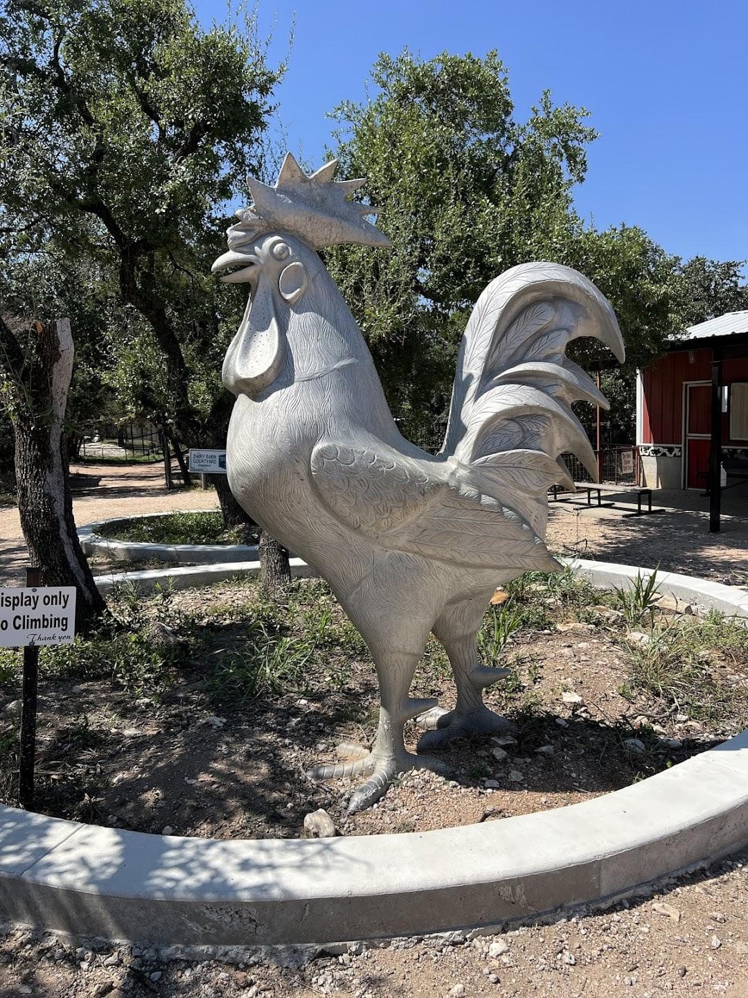 Austin Zoo photo 5