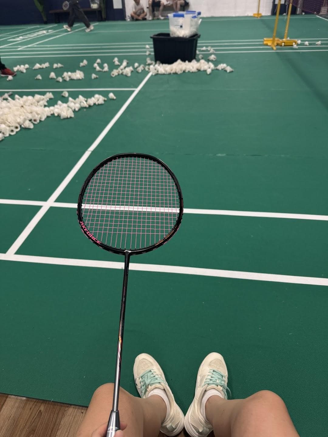 Kotofit Long Island City (Badminton, Pickleball) photo 4
