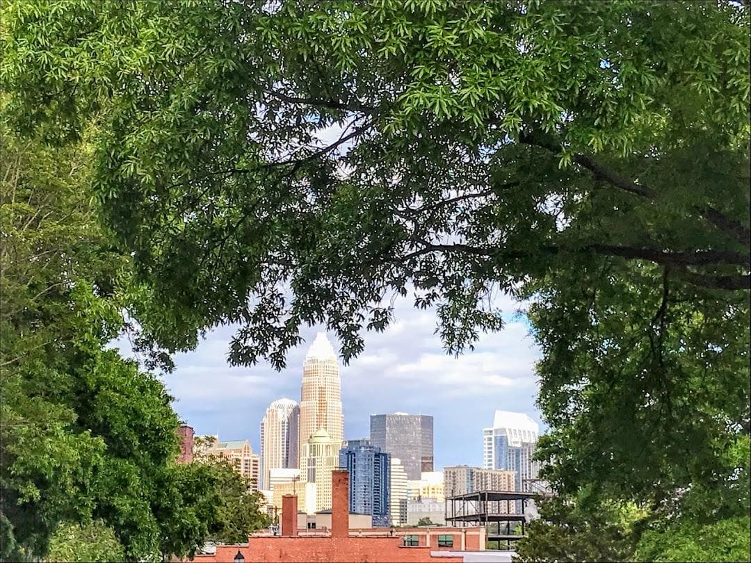 Wesley Heights photo 2