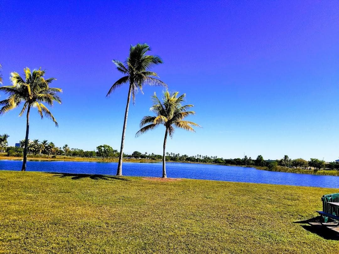 Doral Central Park photo 3